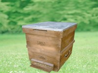 Polen Tuzaklı Kovan