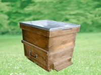  Polen Tuzaksız Kovan